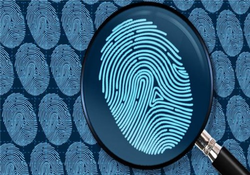 婚姻协查咨询服务：婚内过错方的具体过错行为取证